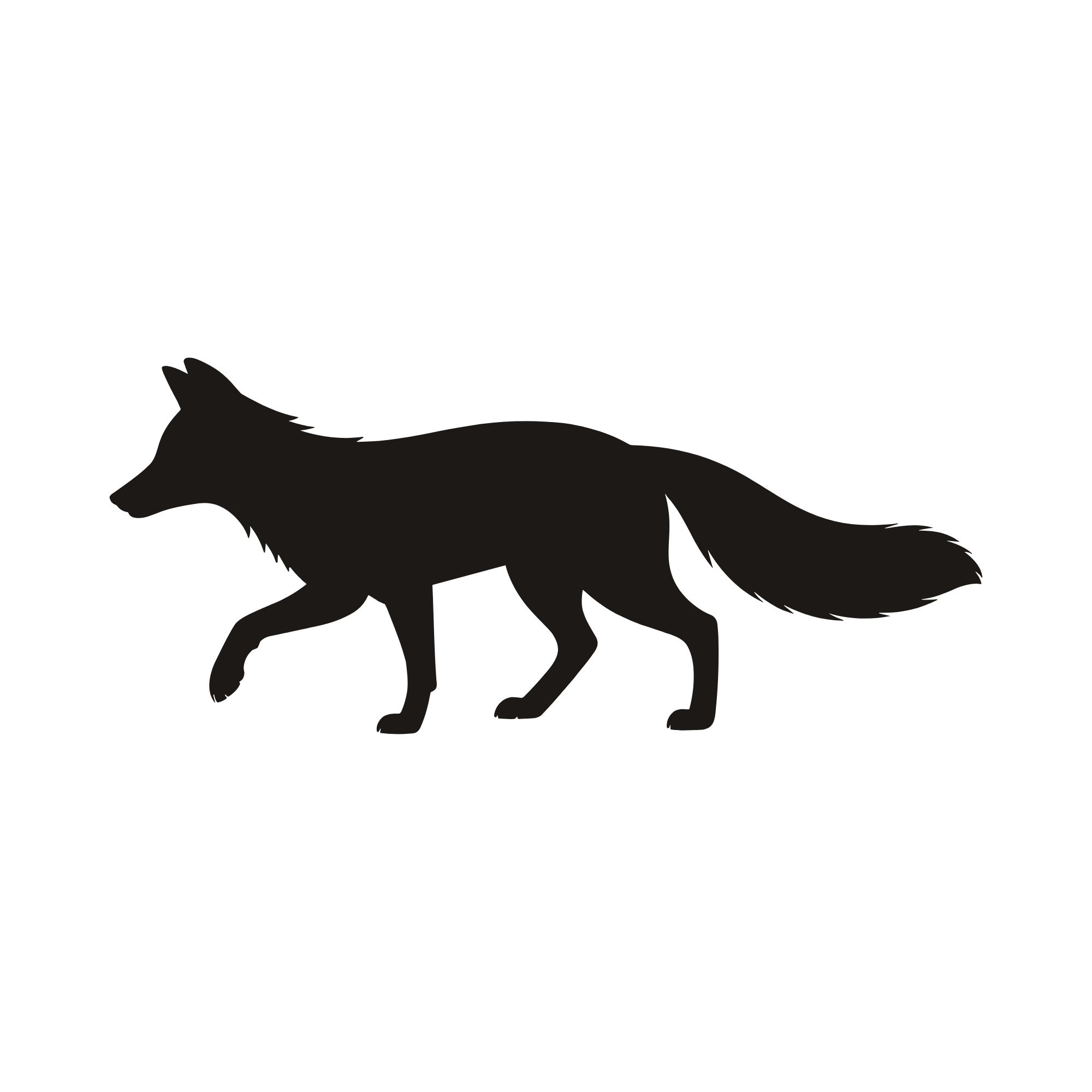 Image of the Black Fox of North Passage Clothing
